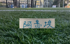 阿苏埃可以说是申花7月表现最好球员 8月能否再续杯这火爆状态
